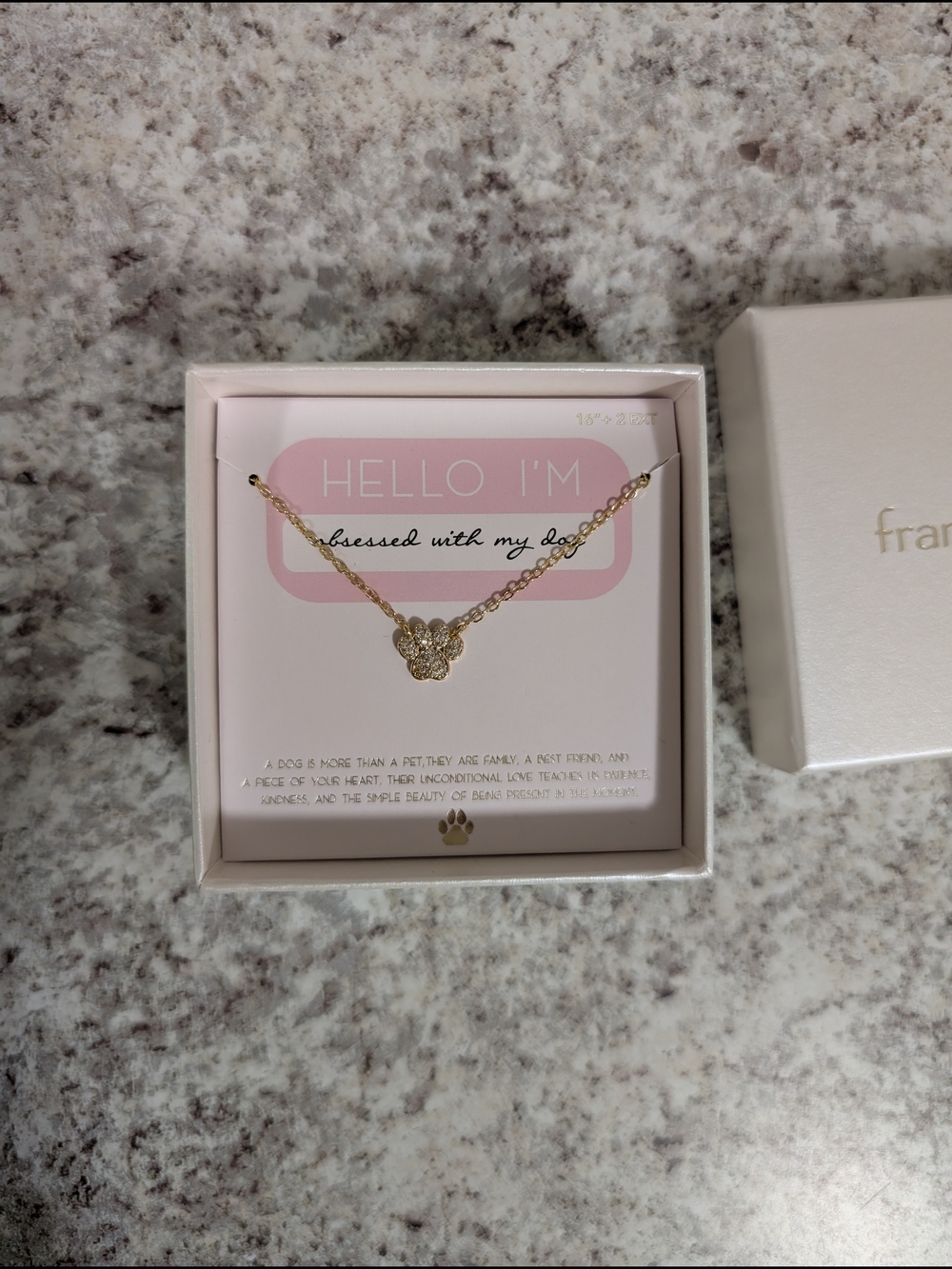Francesca's Collections Gold Paw Print Necklace